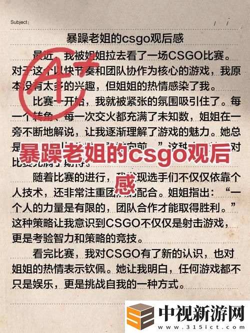 暴躁老姐的CSGO心得分享視頻流暢不卡頓-友