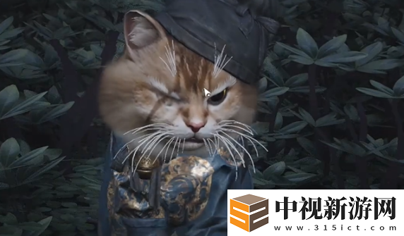 燕云十六聲七閥坡貓咪在哪燕云十六聲七閥坡貓戲全收集攻略