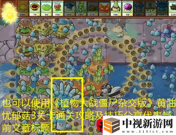 植物大戰僵尸雜交版黃油憂郁菇3關卡通關攻略及技巧分享