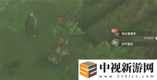 塞爾達傳說王國之淚力量藥水怎么獲得