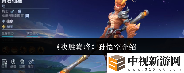 決勝巔峰孫悟空怎么樣
