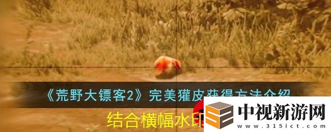 荒野大鏢客2完美獾皮獲取技巧全解析