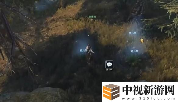 逆水寒手游豬豬迷蹤奇遇怎么過