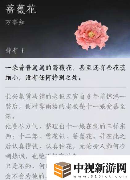 燕云十六聲開封萬事知薔薇風(fēng)信任務(wù)圖文攻略