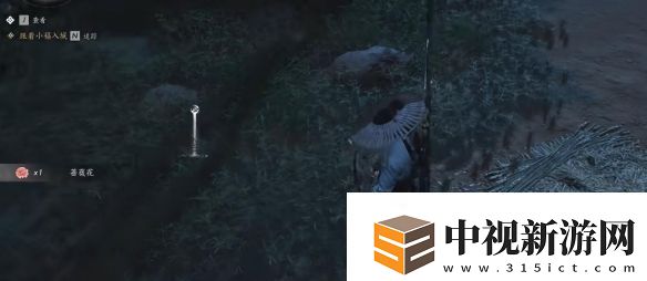 燕云十六聲開封萬事知薔薇風(fēng)信任務(wù)圖文攻略