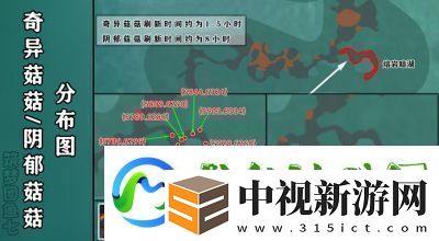 深入解析創(chuàng)造與魔法戰(zhàn)寵排名助你打造最強(qiáng)戰(zhàn)斗伙伴！