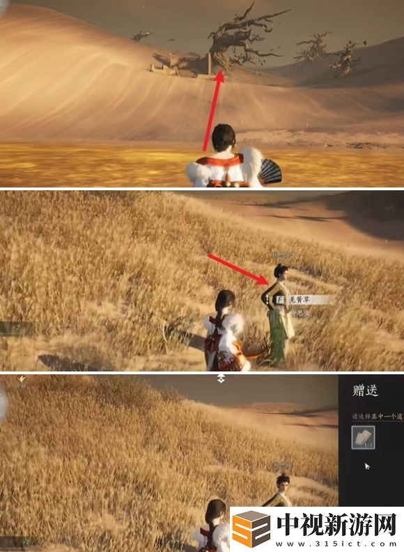 燕云十六聲與卿書任務怎么做