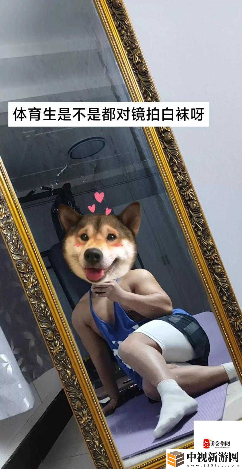 血淚實錄少蘿被脫內內做運后崩潰現場！結局讓人窒息！網絡暴力下的青春輪回