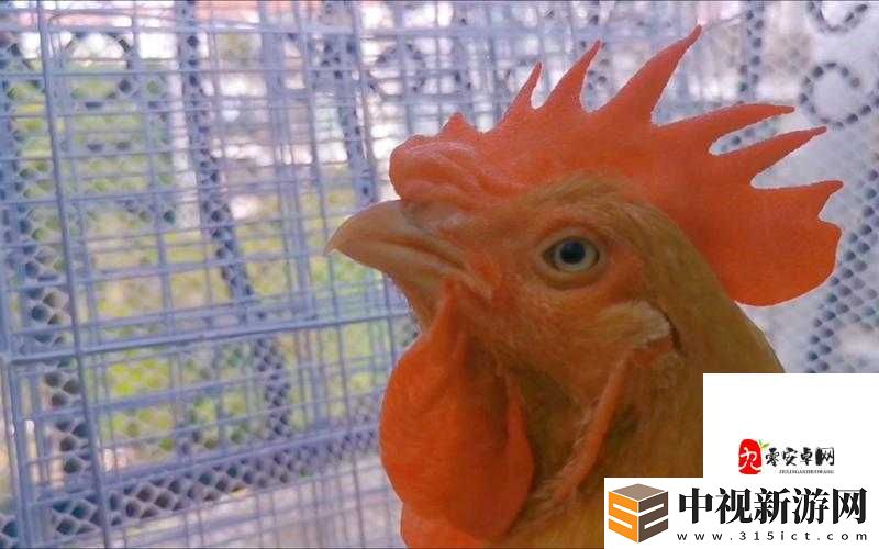 三年成全免費(fèi)觀看影視大全