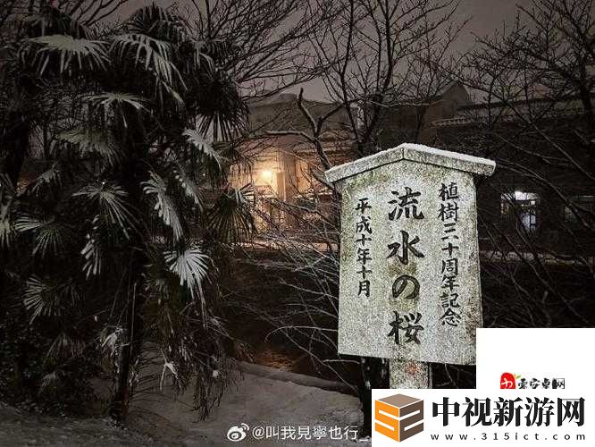 飄雪日本高清免費觀看電視??！雪景絕美劇情催淚