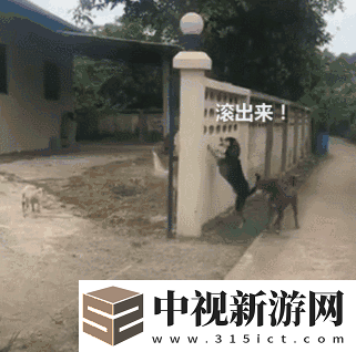 少蘿扒開腿秘?讓人桶麻！她說的三年的秘密終于公開