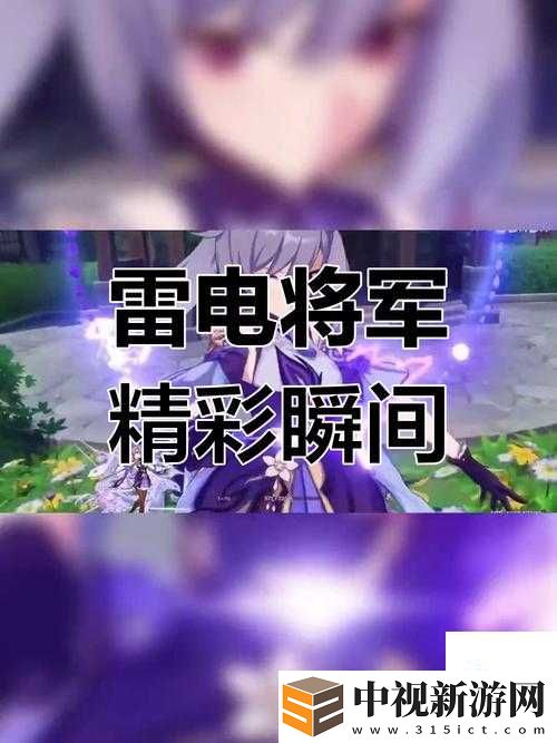 3D雷電將軍被封禁