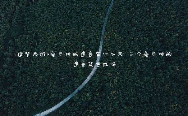 造夢西游3龜丞相的遺言有什么用