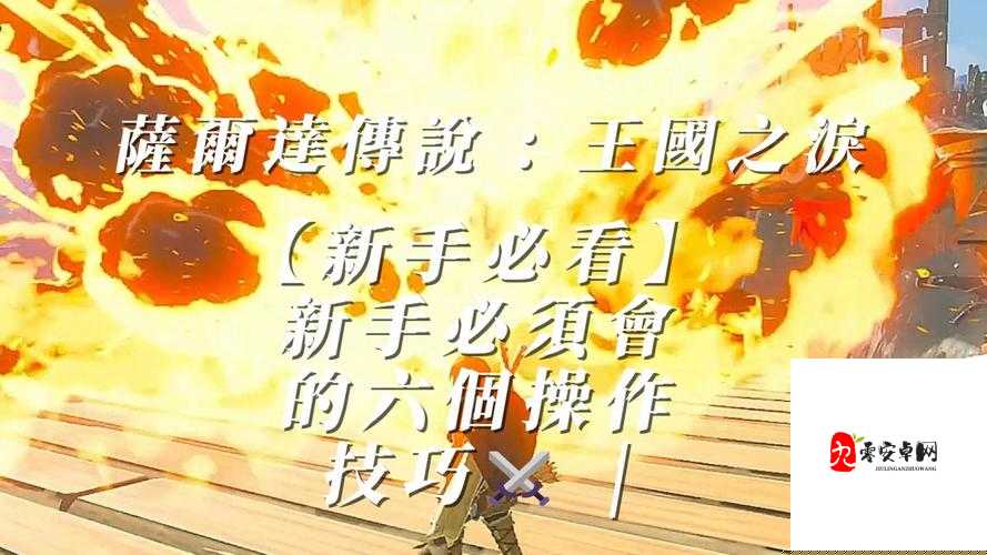 皇冠之淚2霸王的末裔必看！3分鐘掌握絕密協力攻擊觸發技巧