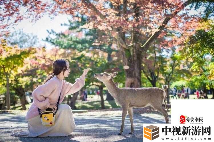 萌三國碎片獲取終極指南！3天爆肝實測