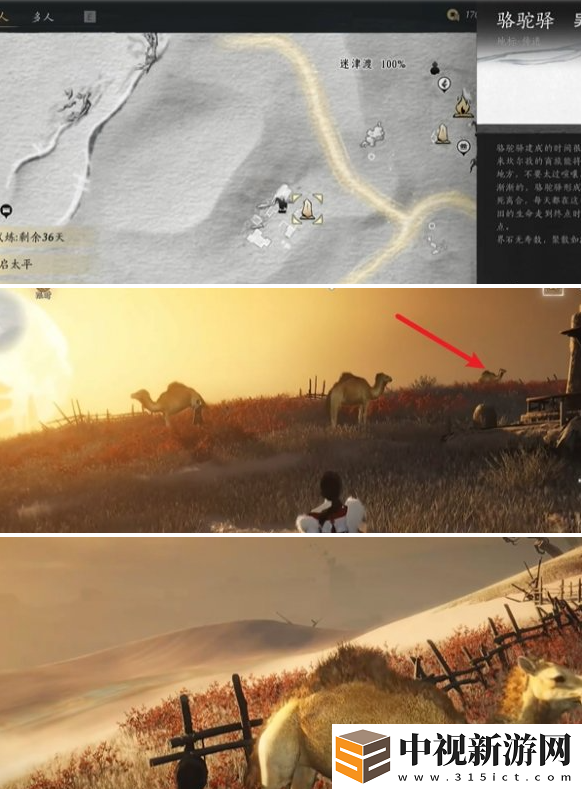 燕云十六聲駱駝鈴鐺任務怎么做